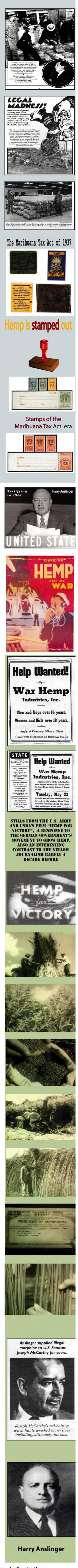 Prohibition 3, US Hemp Co Museum