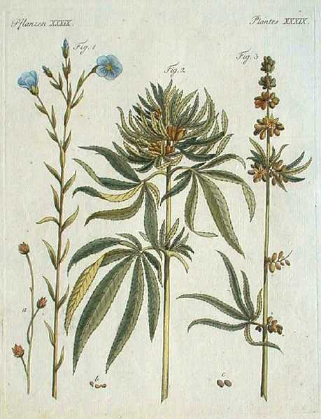 1799 hemp flax print