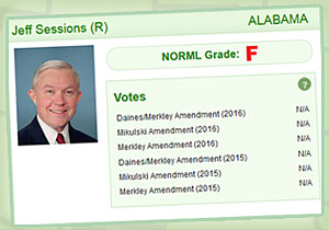 Senator Jeff Sessions (R) from Alabama received an F grade from NORML in their latest Congressional Scorecard