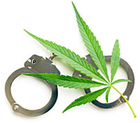 Cannabis Penalties