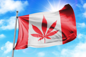 Legal Marijuana Sales Being in Canada